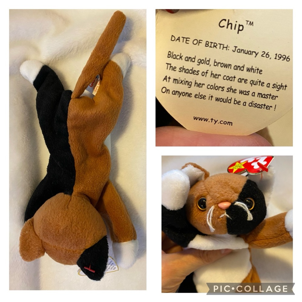 Set of 5 Beanie Babies from 1996 and 1997 with original hang tags - Picture 7 of 10